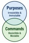 doctrines of grace